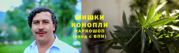 стаф Бородино