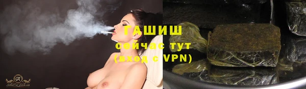 стаф Бородино
