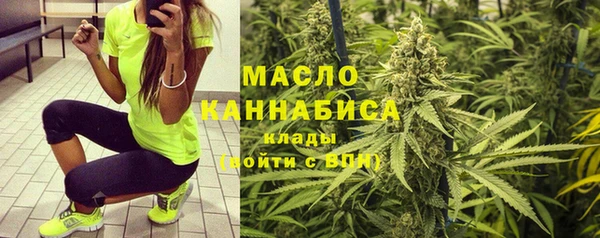 стаф Бородино