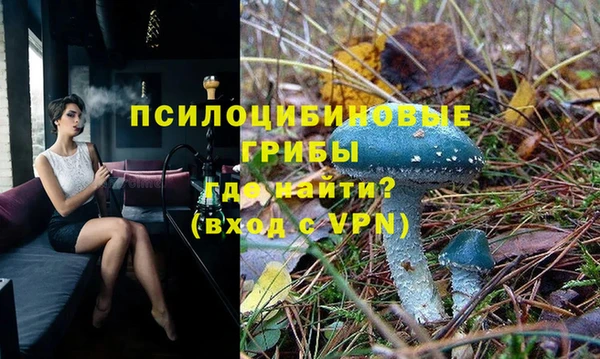 стаф Бородино