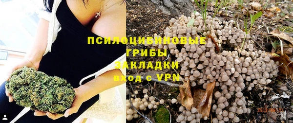 стаф Бородино