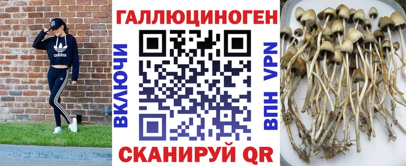 Псилоцибиновые грибы ЛСД  Коломна 